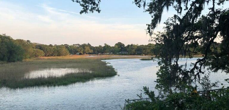 Brook Lyon for Mayor of James Island